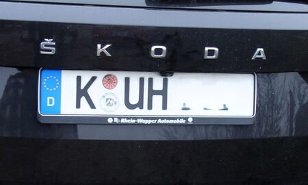 dem Anlass gemäßes Kennzeichen. traction pour bovin