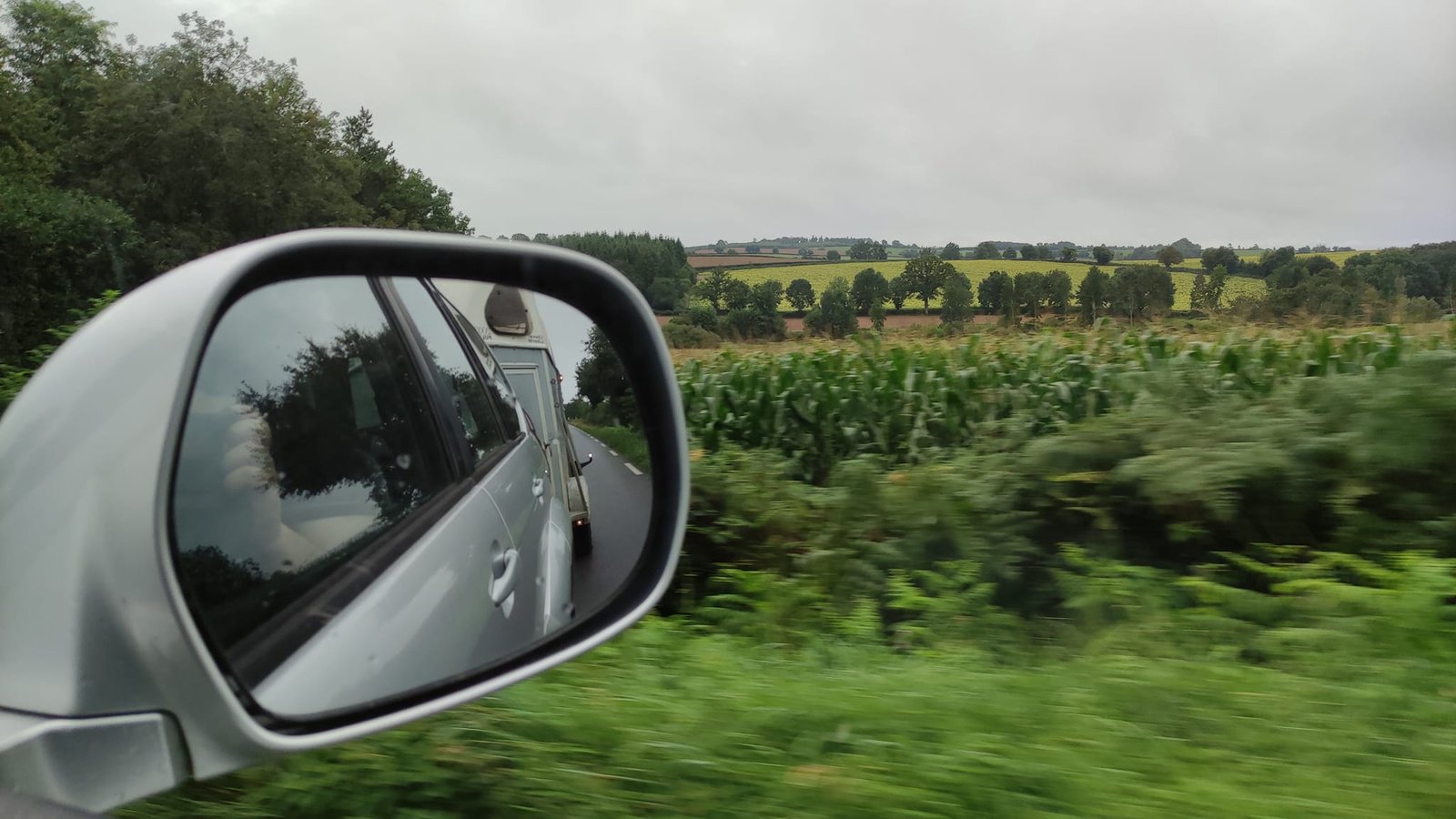 Aucune description de photo disponible. - La corne rose - Le voyage de Léonnie, Safran, et Bouleau 2023