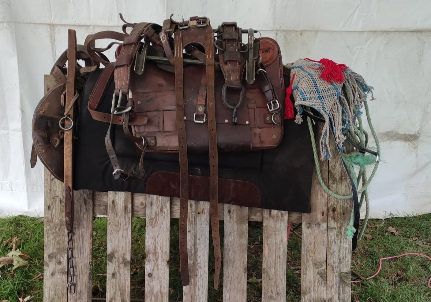 Aucune description de photo disponible. - La corne rose - Le voyage de Léonnie, Safran, et Bouleau 2023