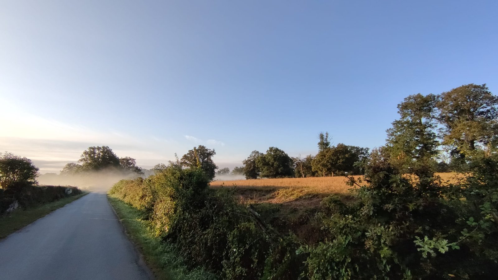 Aucune description de photo disponible. - La corne rose - Le voyage de Léonnie, Safran, et Bouleau 2023