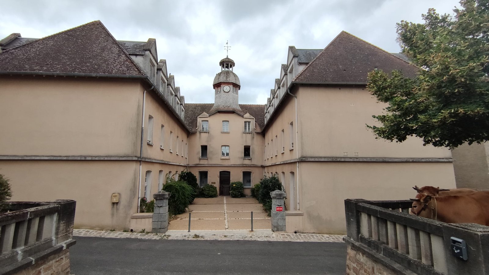 Aucune description de photo disponible. - La corne rose - Le voyage de Léonnie, Safran, et Bouleau 2023