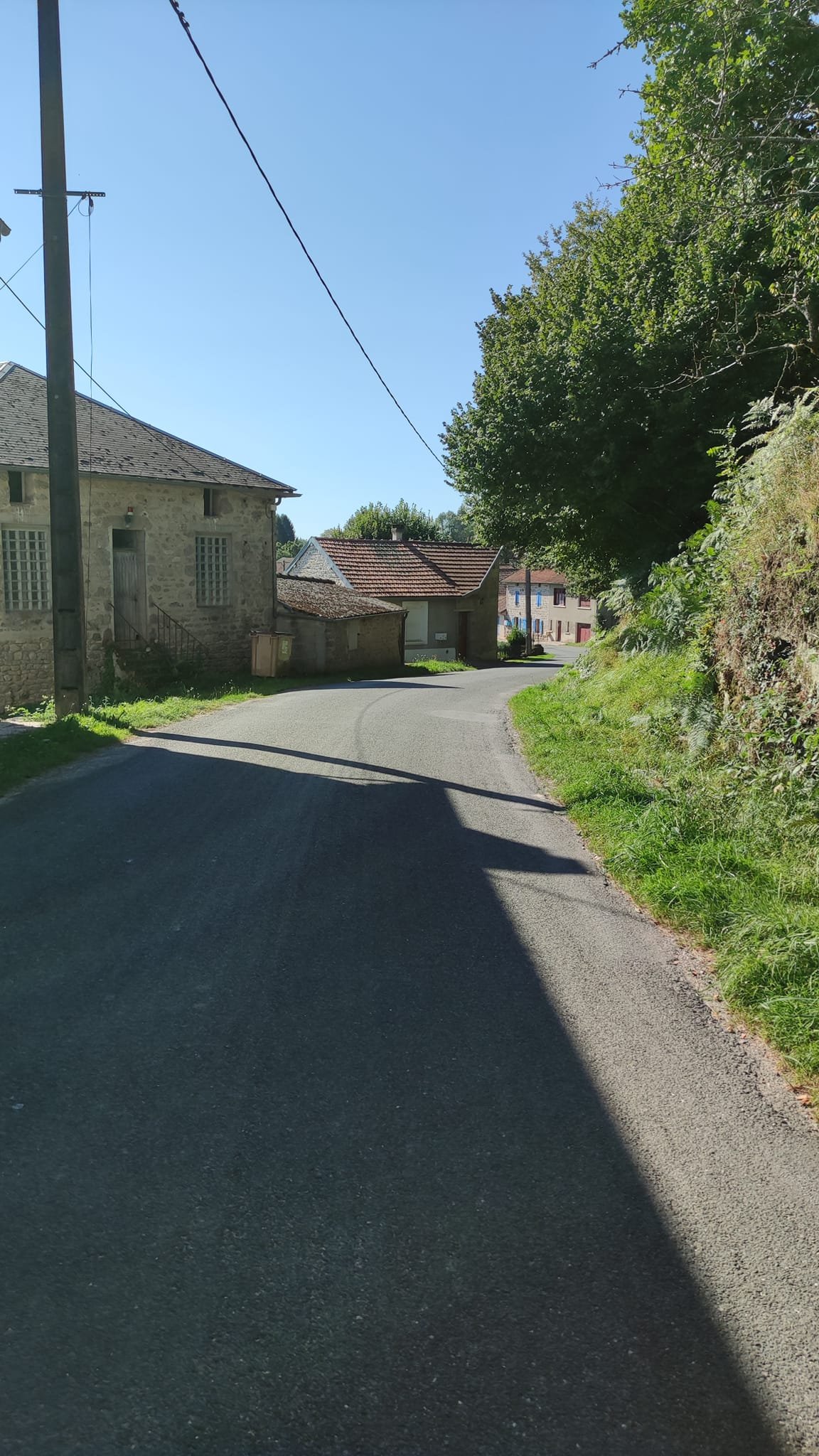 Aucune description de photo disponible. - La corne rose - Le voyage de Léonnie, Safran, et Bouleau 2023