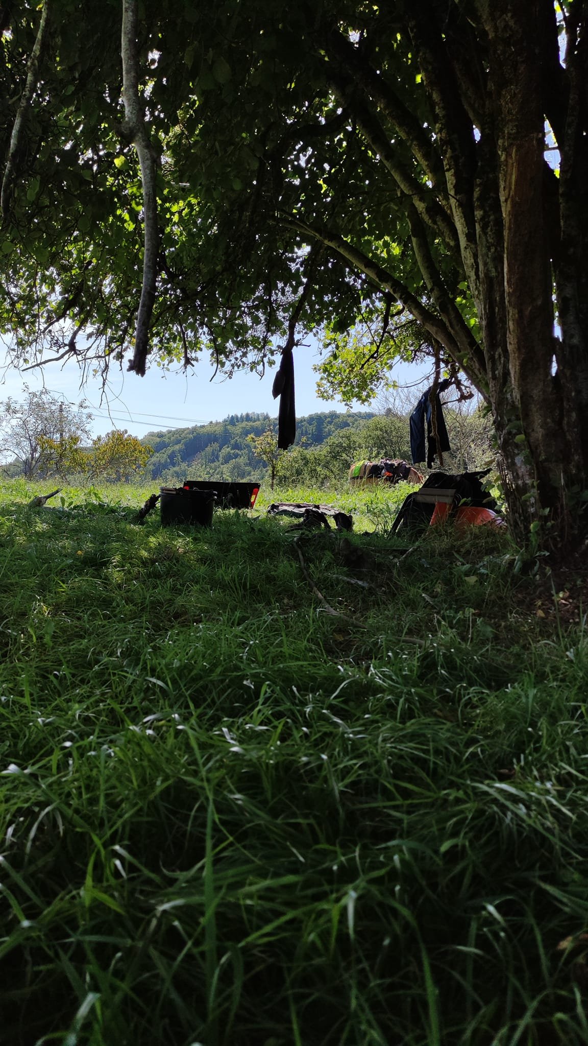 Aucune description de photo disponible. - La corne rose - Le voyage de Léonnie, Safran, et Bouleau 2023