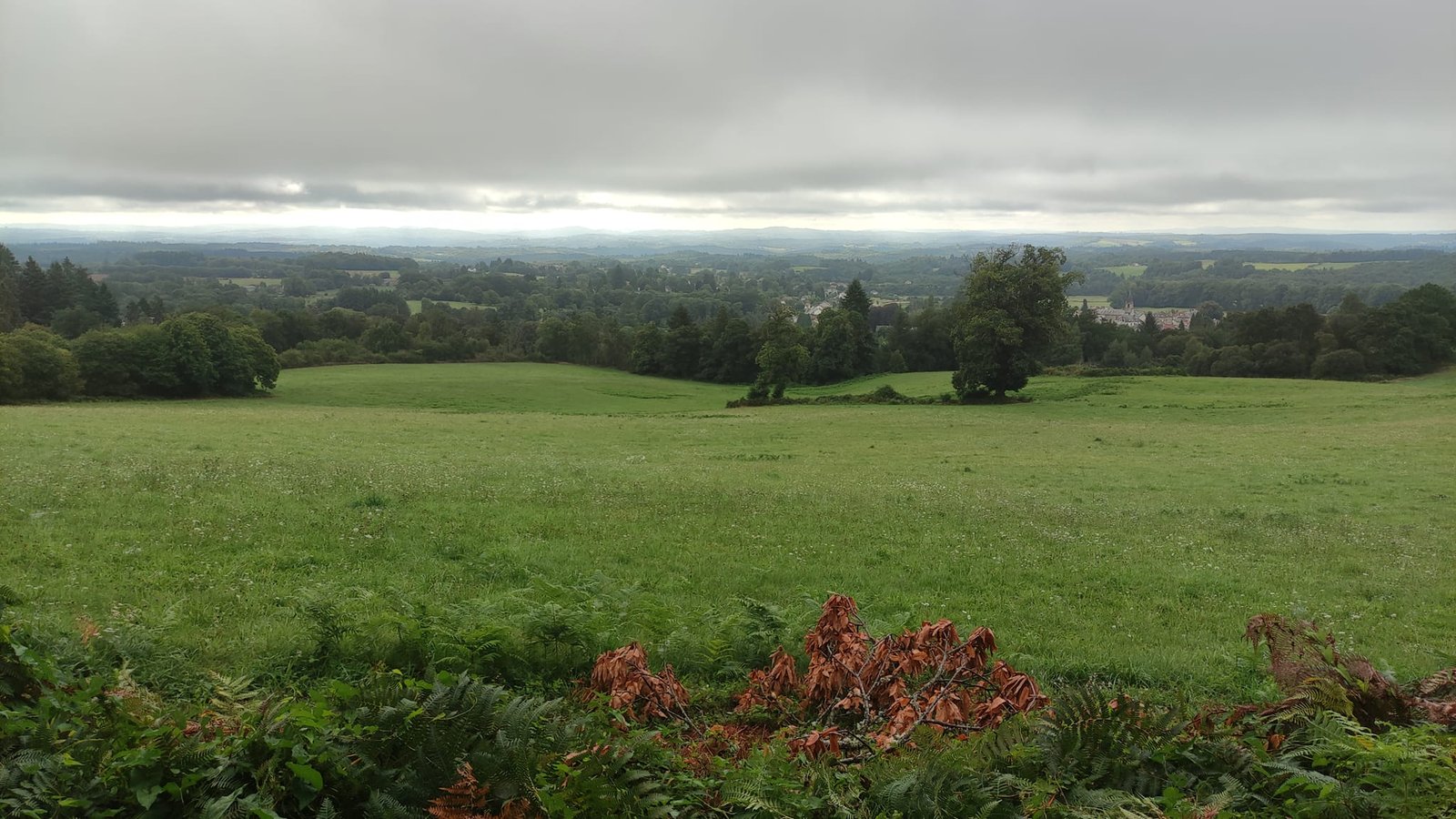 Aucune description de photo disponible. - La corne rose - Le voyage de Léonnie, Safran, et Bouleau 2023