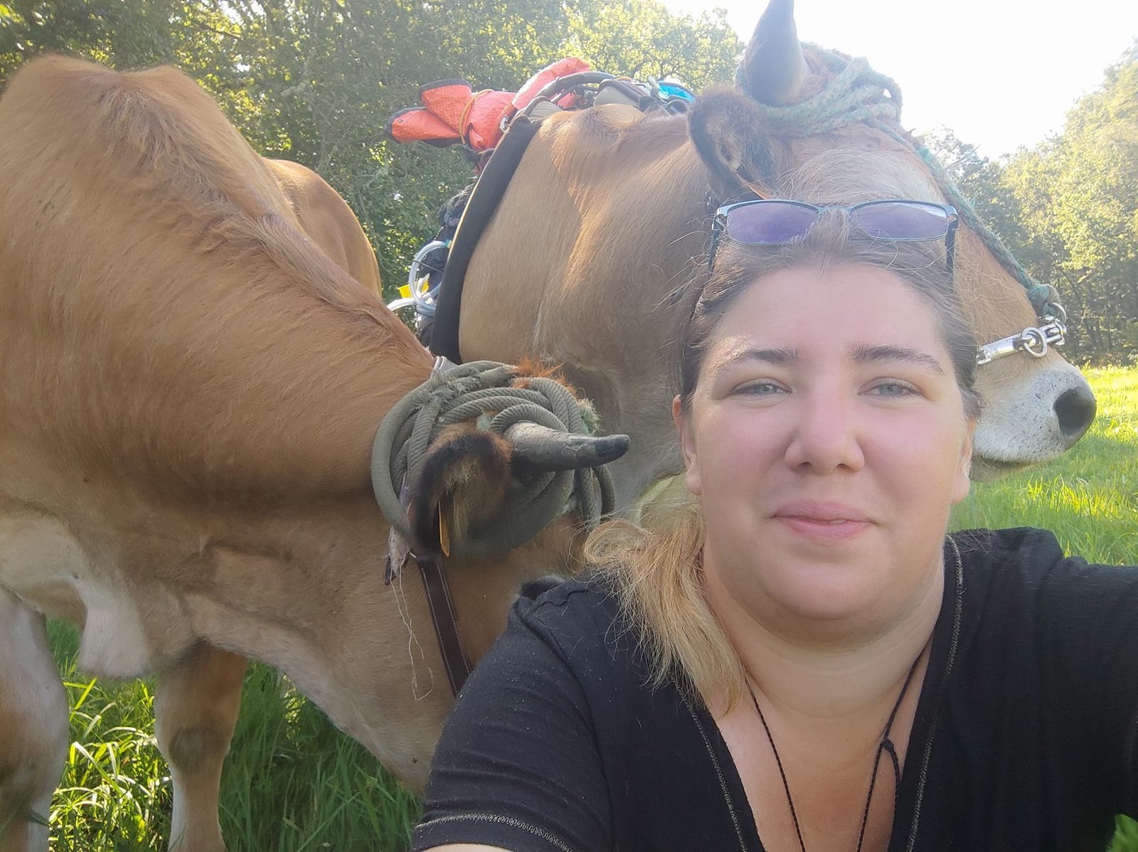 Aucune description de photo disponible. - La corne rose - Le voyage de Léonnie, Safran, et Bouleau 2023