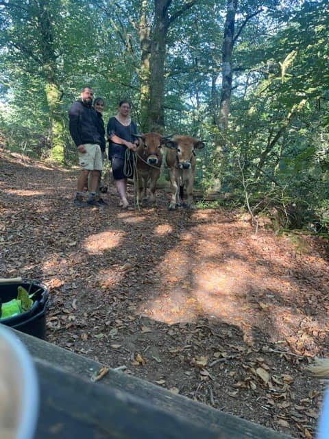 Aucune description de photo disponible. - La corne rose - Le voyage de Léonnie, Safran, et Bouleau 2023