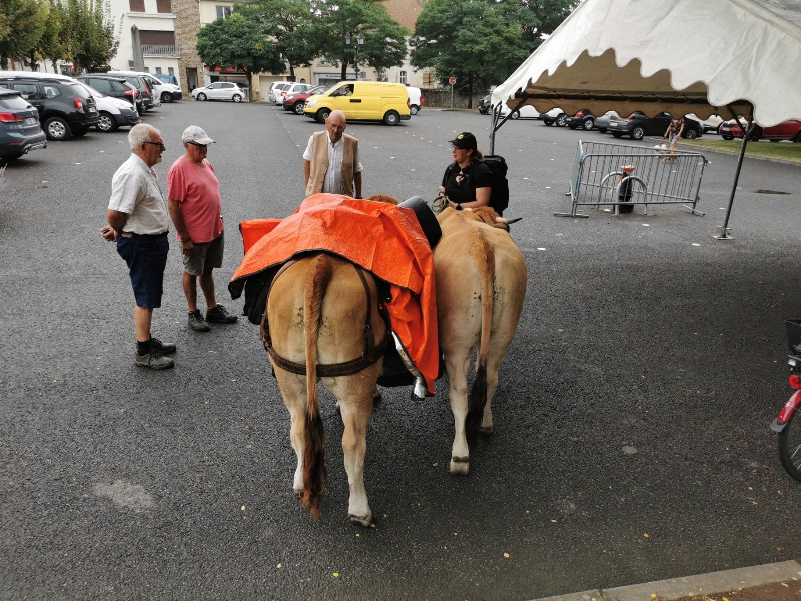 Aucune description de photo disponible. - La corne rose - Le voyage de Léonnie, Safran, et Bouleau 2023