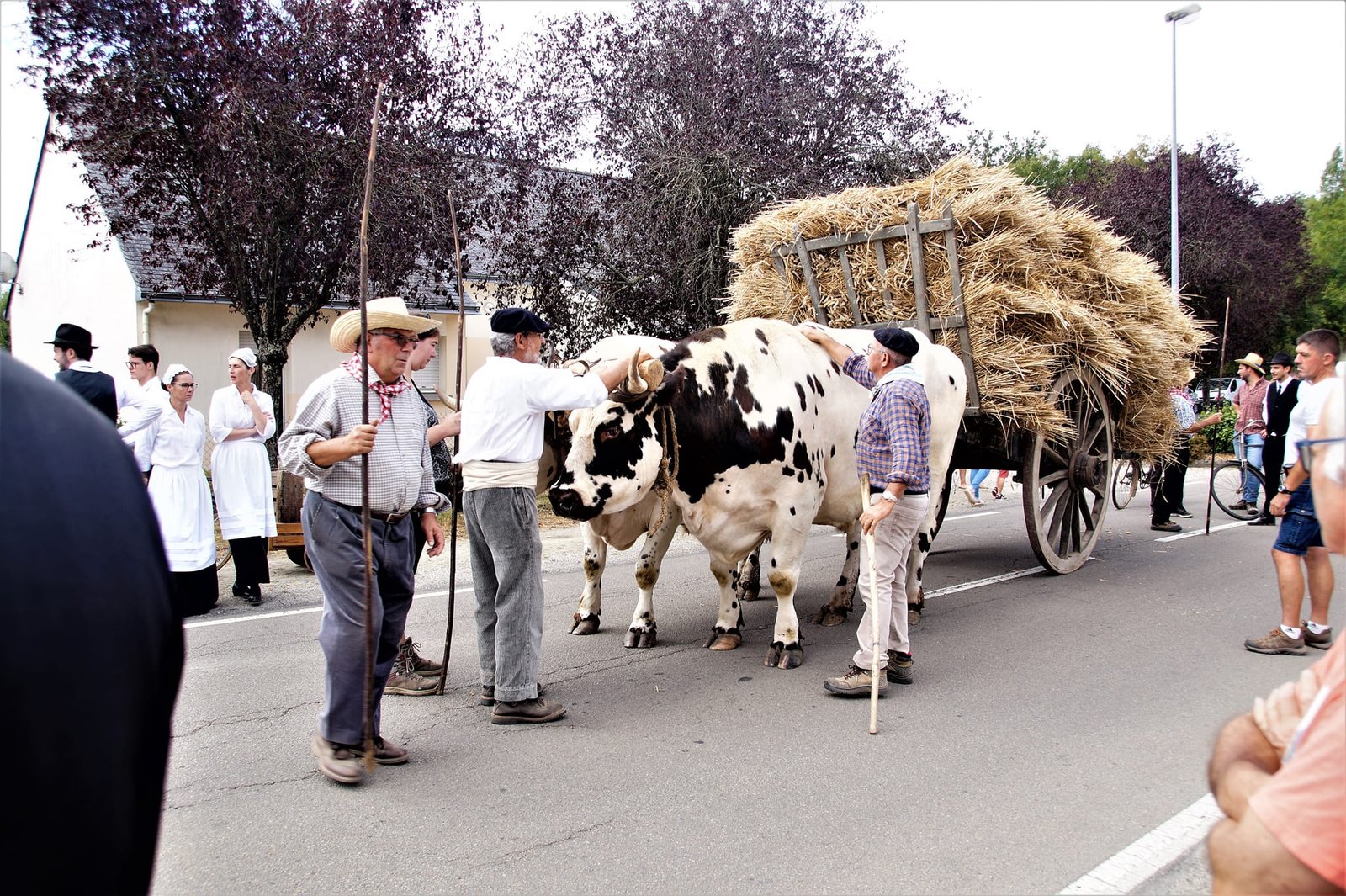 Aucune description de photo disponible. - La corne rose - Le voyage de Léonnie, Safran, et Bouleau 2023
