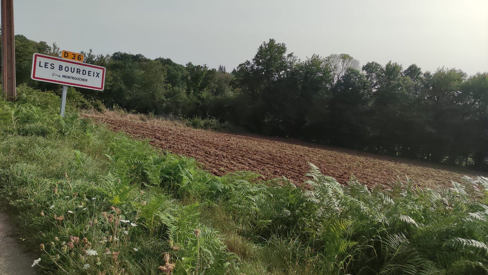 Aucune description de photo disponible. - La corne rose - Le voyage de Léonnie, Safran, et Bouleau 2023