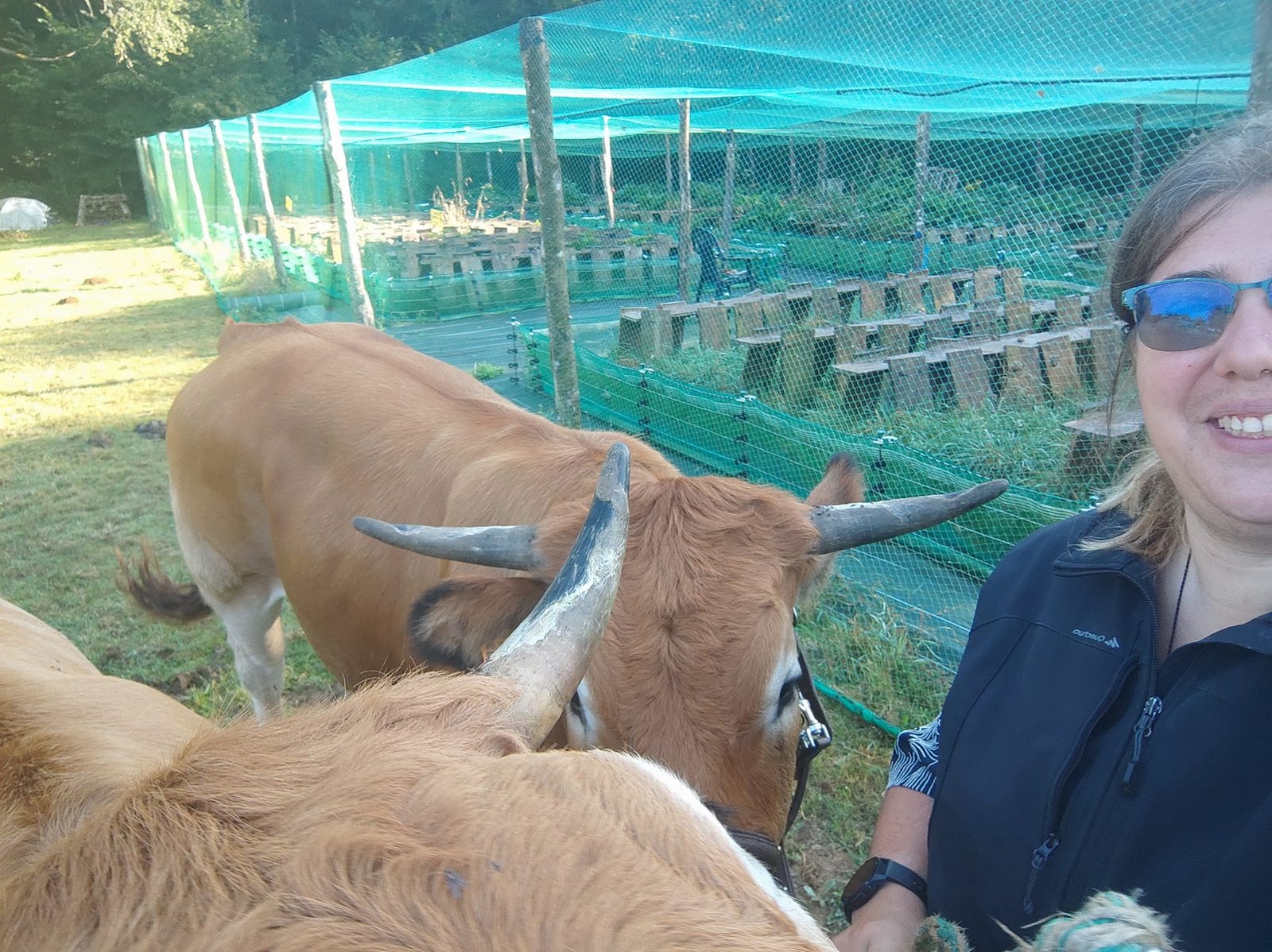 Aucune description de photo disponible. - La corne rose - Le voyage de Léonnie, Safran, et Bouleau 2023