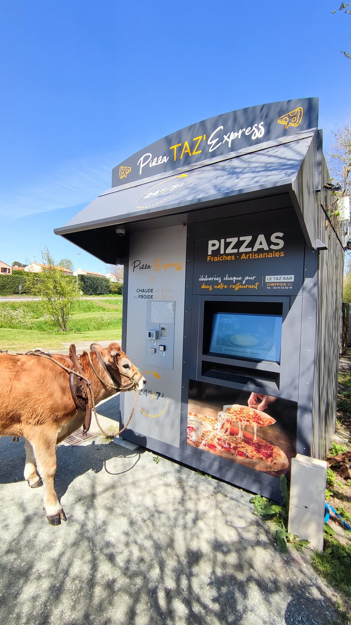 Aucune description de photo disponible. - La corne rose - Le voyage de Léonnie, Safran, et Bouleau 2023