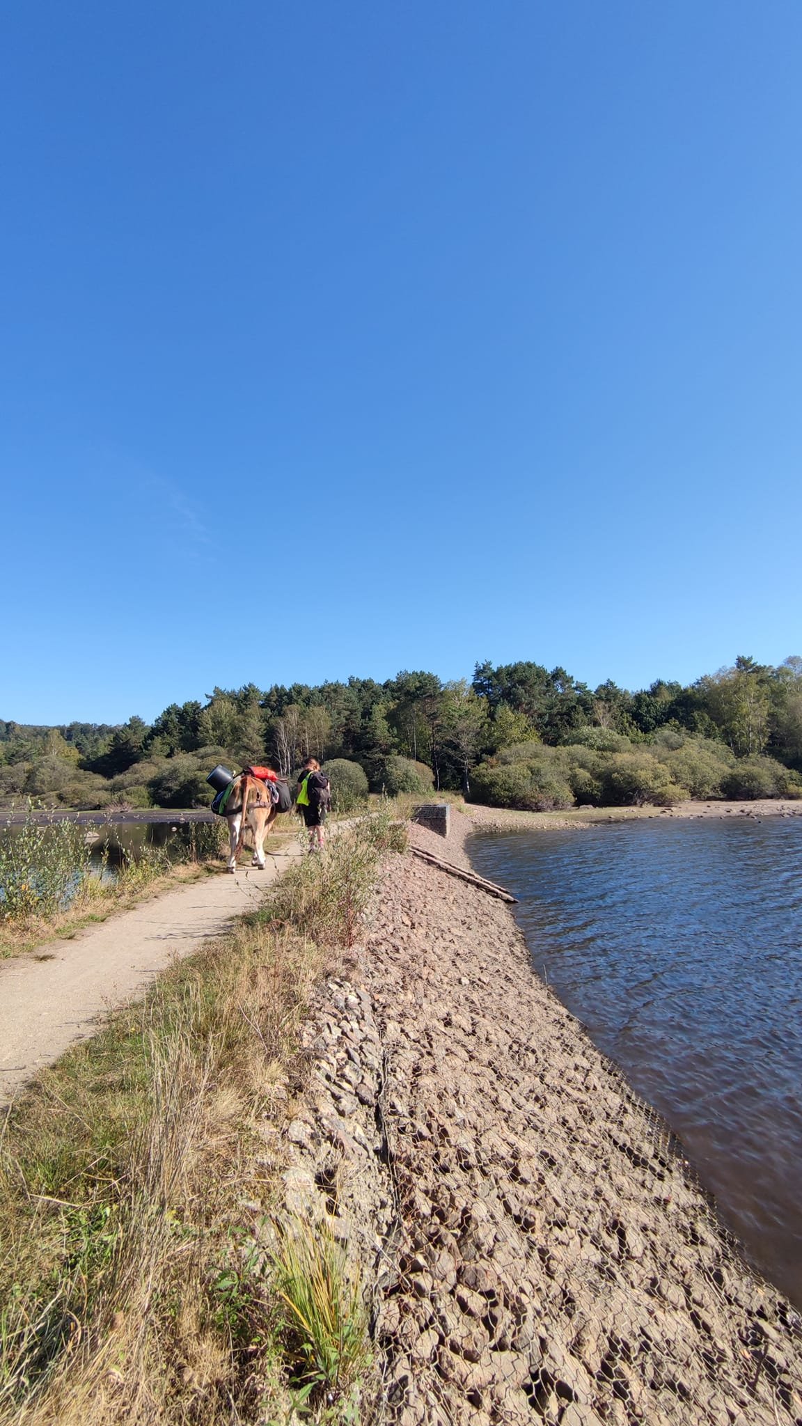 Aucune description de photo disponible. - La corne rose - Le voyage de Léonnie, Safran, et Bouleau 2023