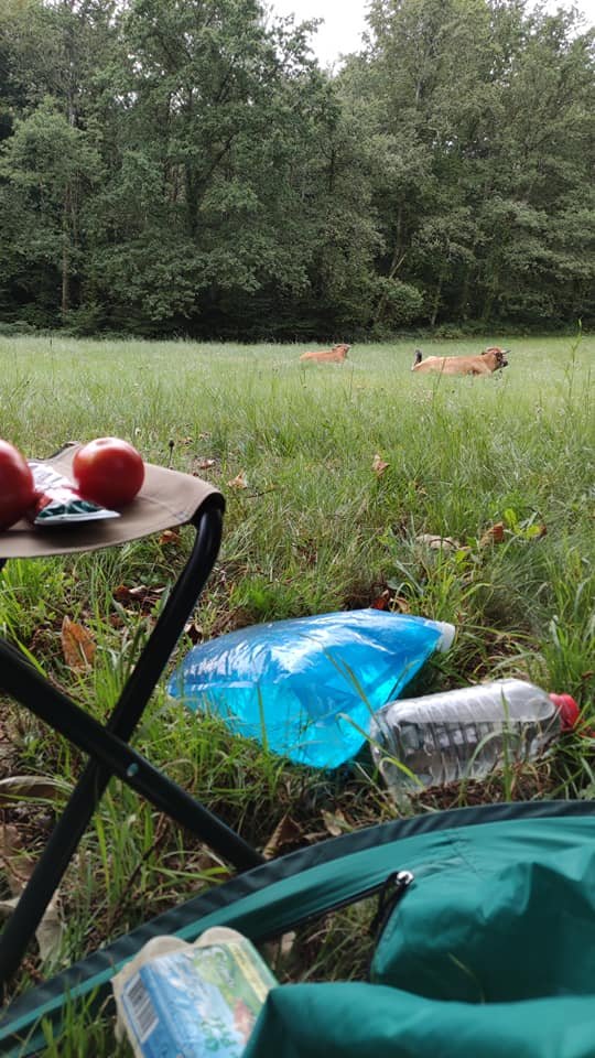 Aucune description de photo disponible. - La corne rose - Le voyage de Léonnie, Safran, et Bouleau 2023