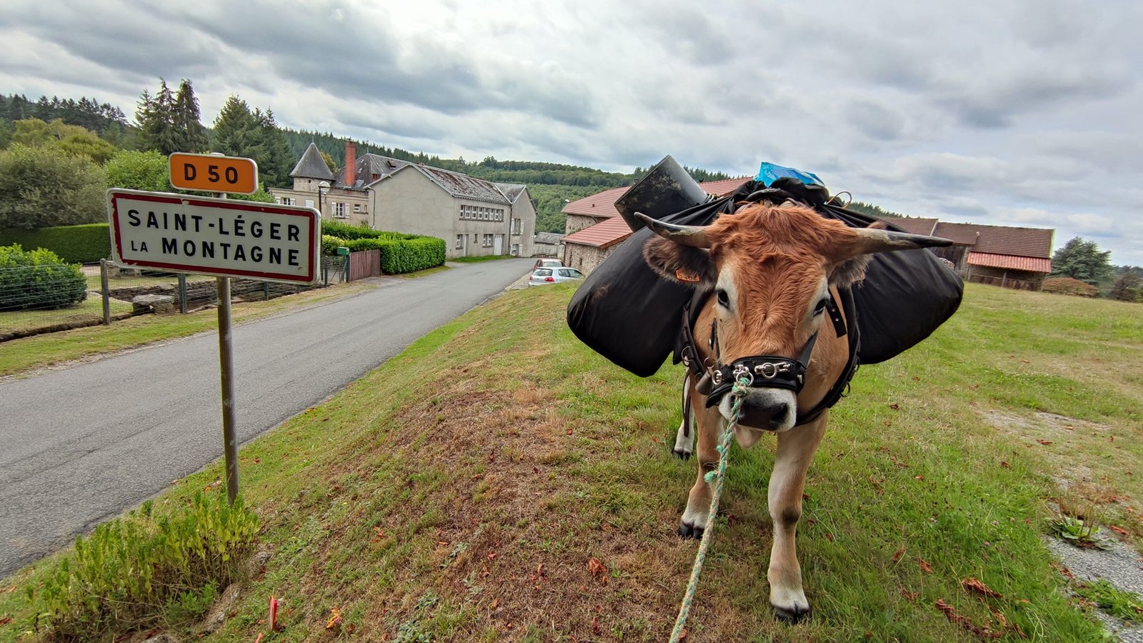 Aucune description de photo disponible. - La corne rose - Le voyage de Léonnie, Safran, et Bouleau 2023