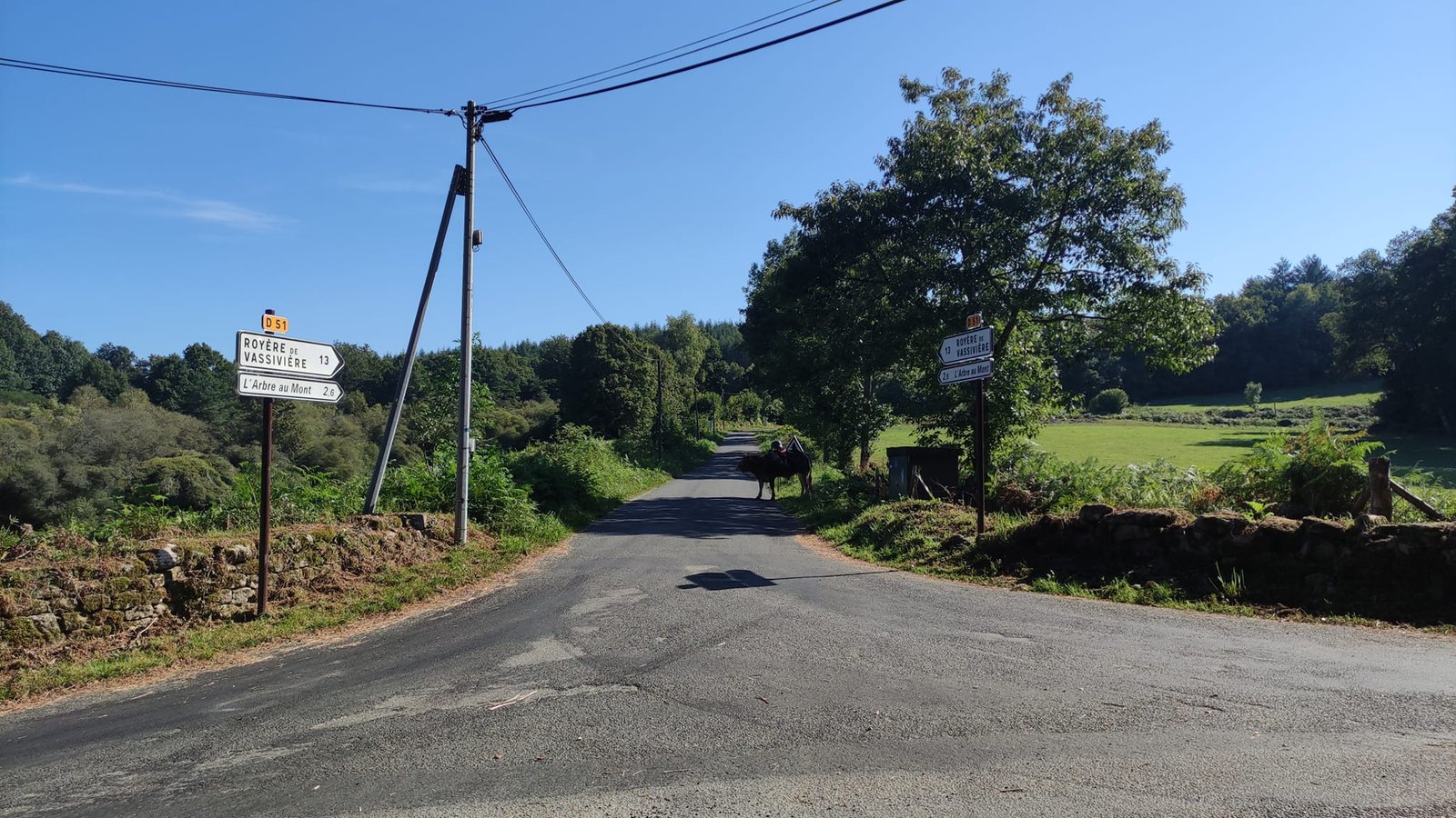 Aucune description de photo disponible. - La corne rose - Le voyage de Léonnie, Safran, et Bouleau 2023