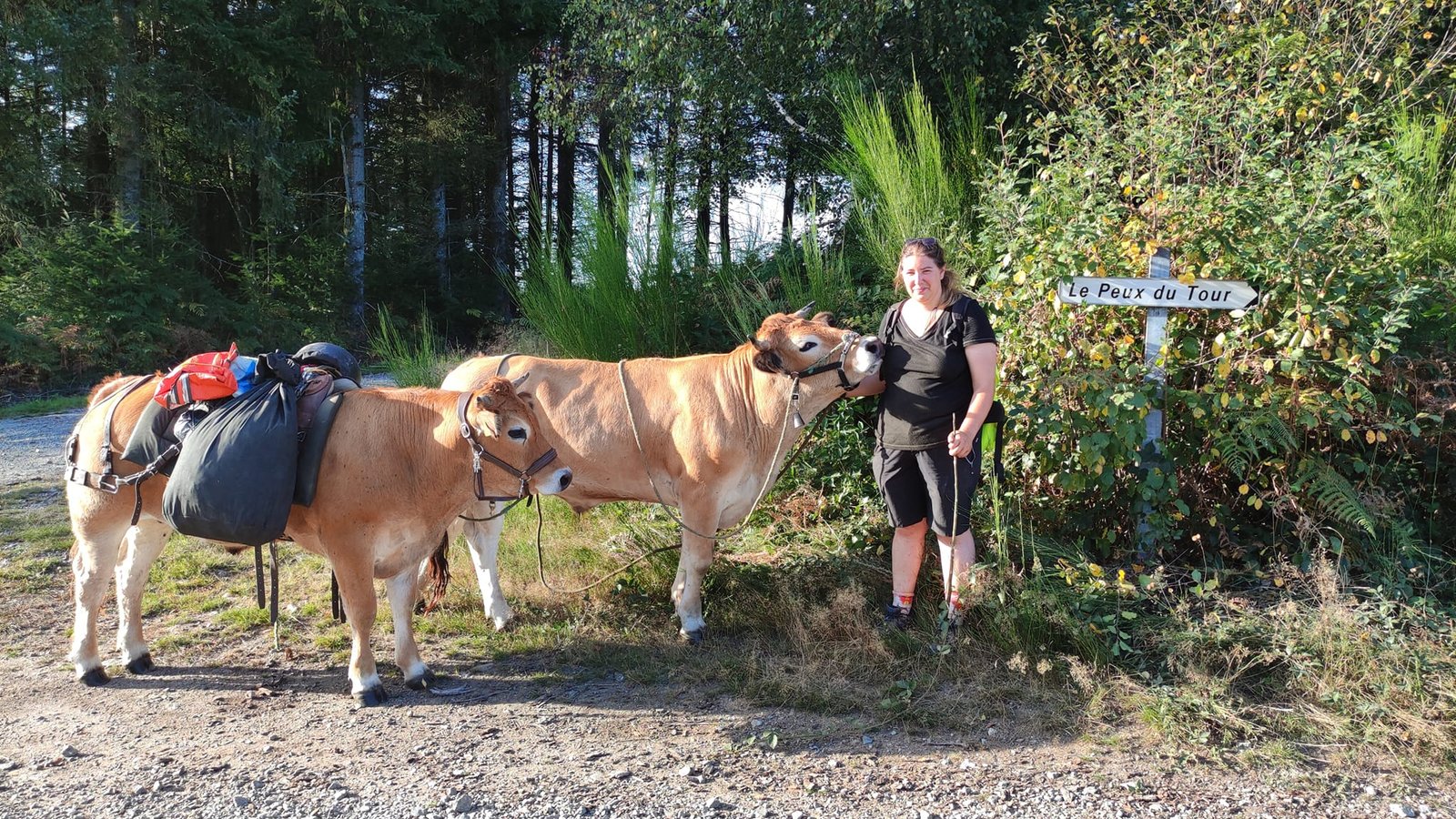 Aucune description de photo disponible. - La corne rose - Le voyage de Léonnie, Safran, et Bouleau 2023