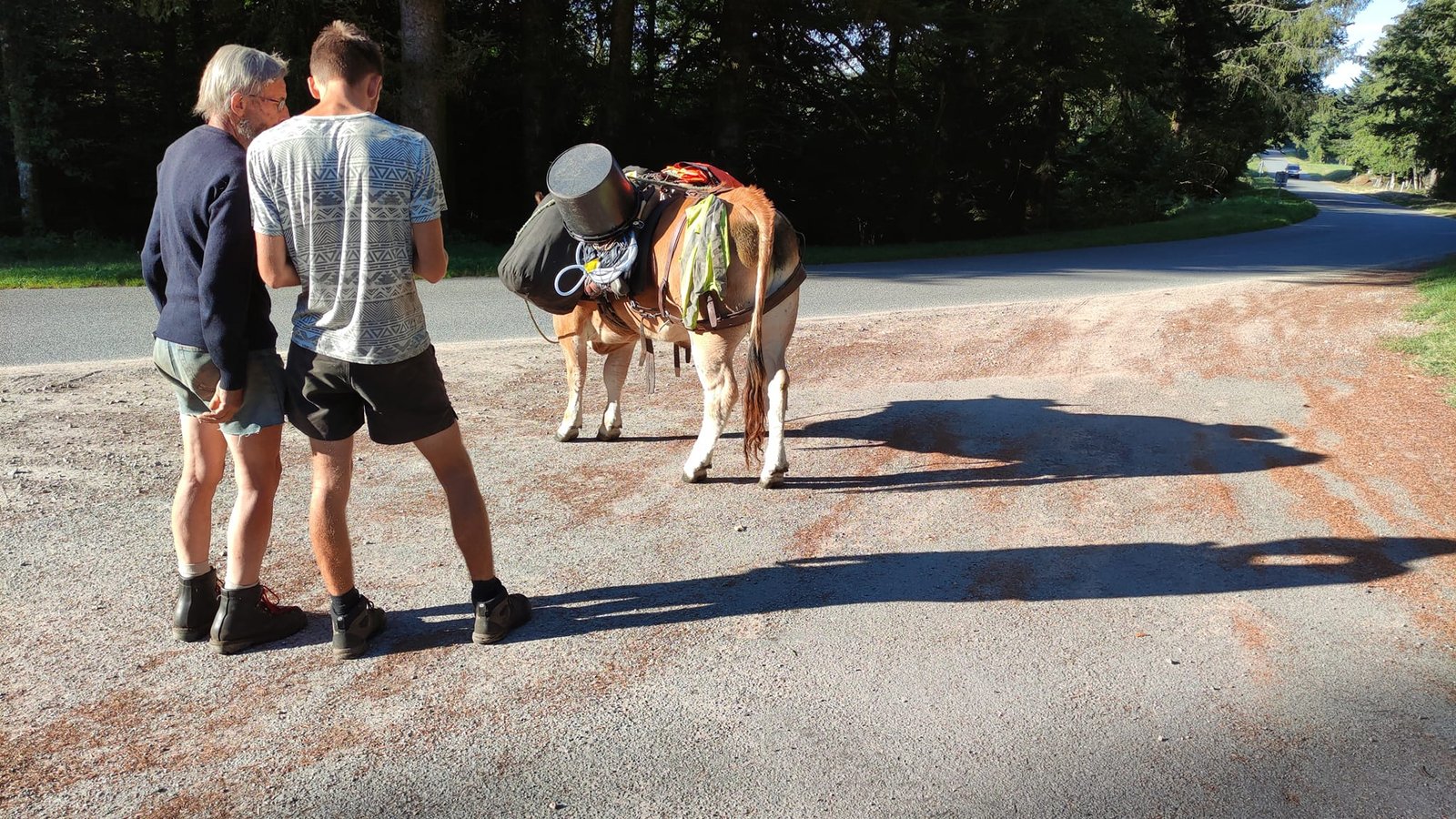 Aucune description de photo disponible. - La corne rose - Le voyage de Léonnie, Safran, et Bouleau 2023