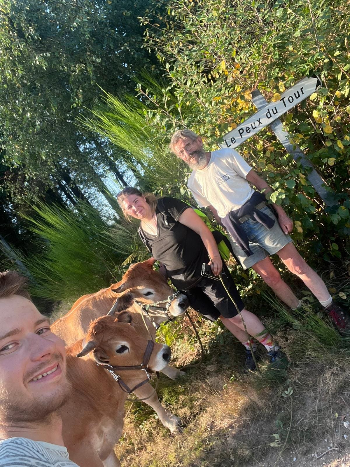 Aucune description de photo disponible. - La corne rose - Le voyage de Léonnie, Safran, et Bouleau 2023