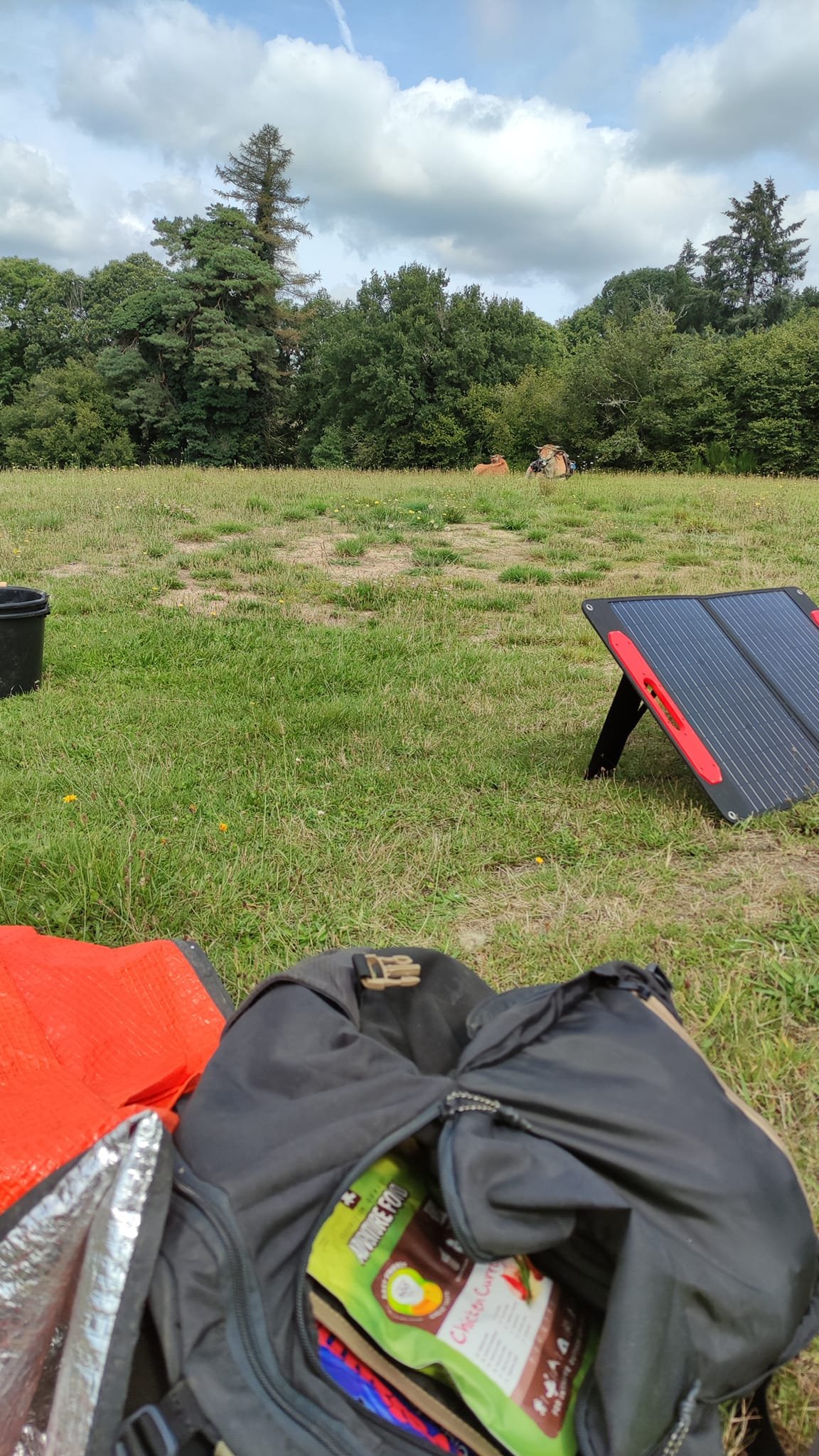 Aucune description de photo disponible. - La corne rose - Le voyage de Léonnie, Safran, et Bouleau 2023