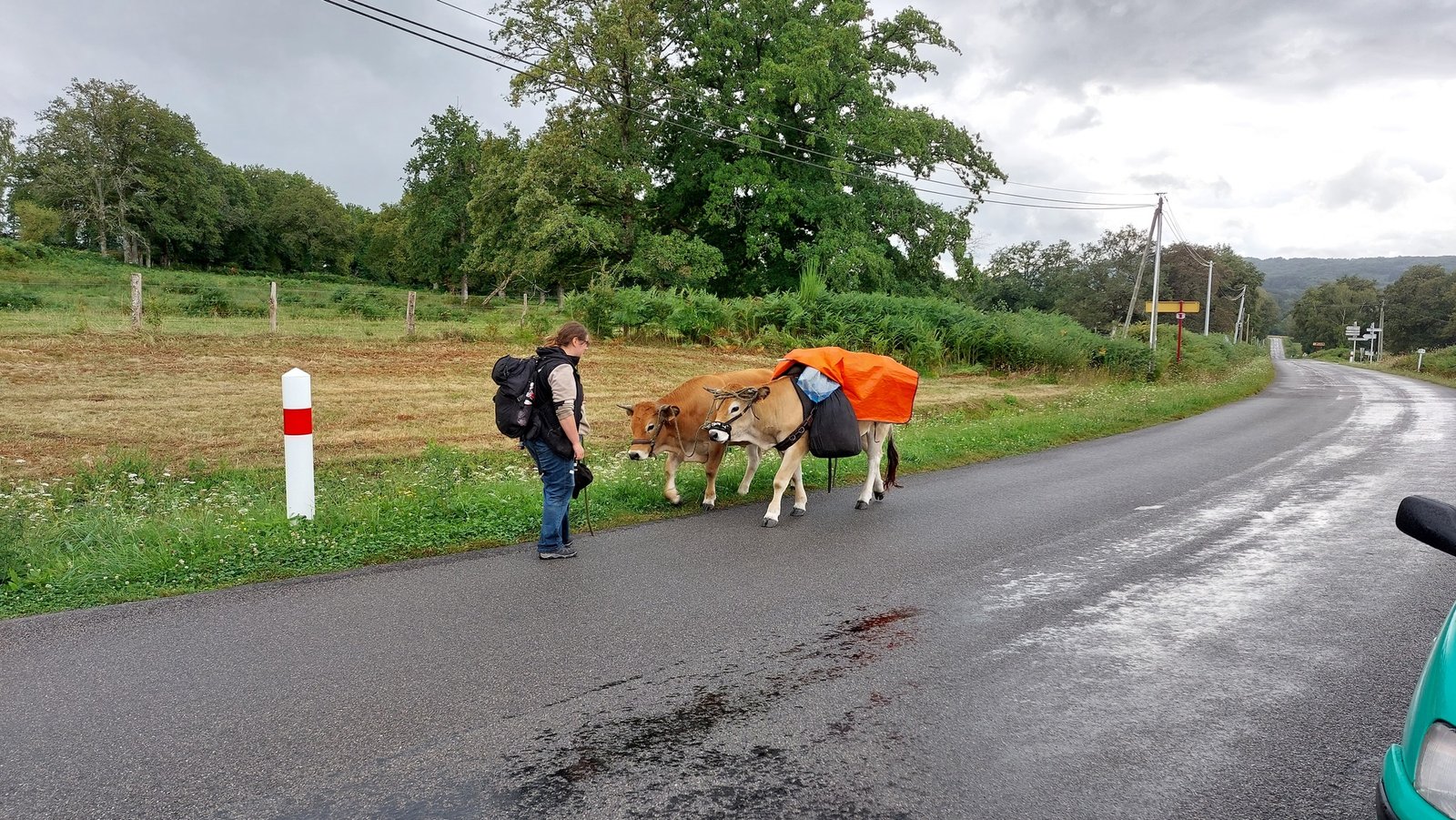 Peut être une image de 2 personnes, route et herbe - La corne rose - Le voyage de Léonnie, Safran, et Bouleau 2023