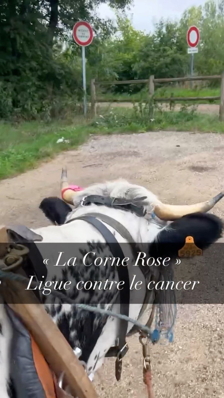 - La corne rose - Le voyage de Léonnie, Safran, et Bouleau 2023