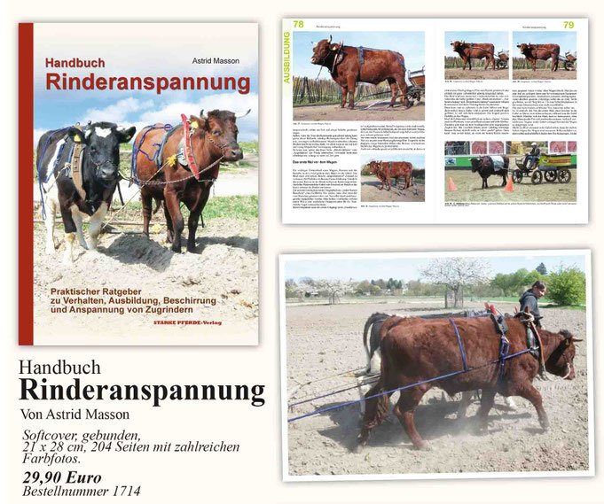 Handbuch Rinderanspannung