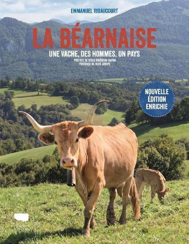 Livre La Bearnaise Une vache des hommes un pays dEmmanuel Ribaucourt 2020 la bearnaise une vache des hommes un pays