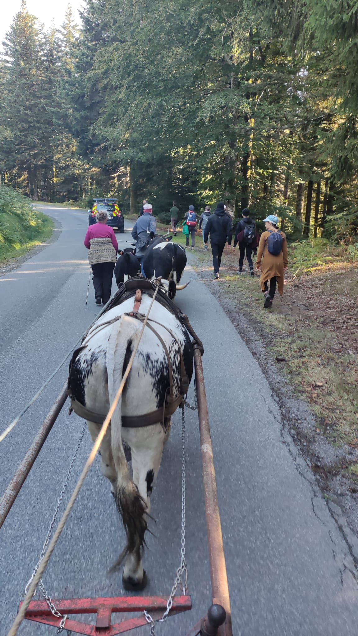- Suite du voyage de Léonnie Biteau avec le rassemblement des meneurs de bovin 2023 (23)