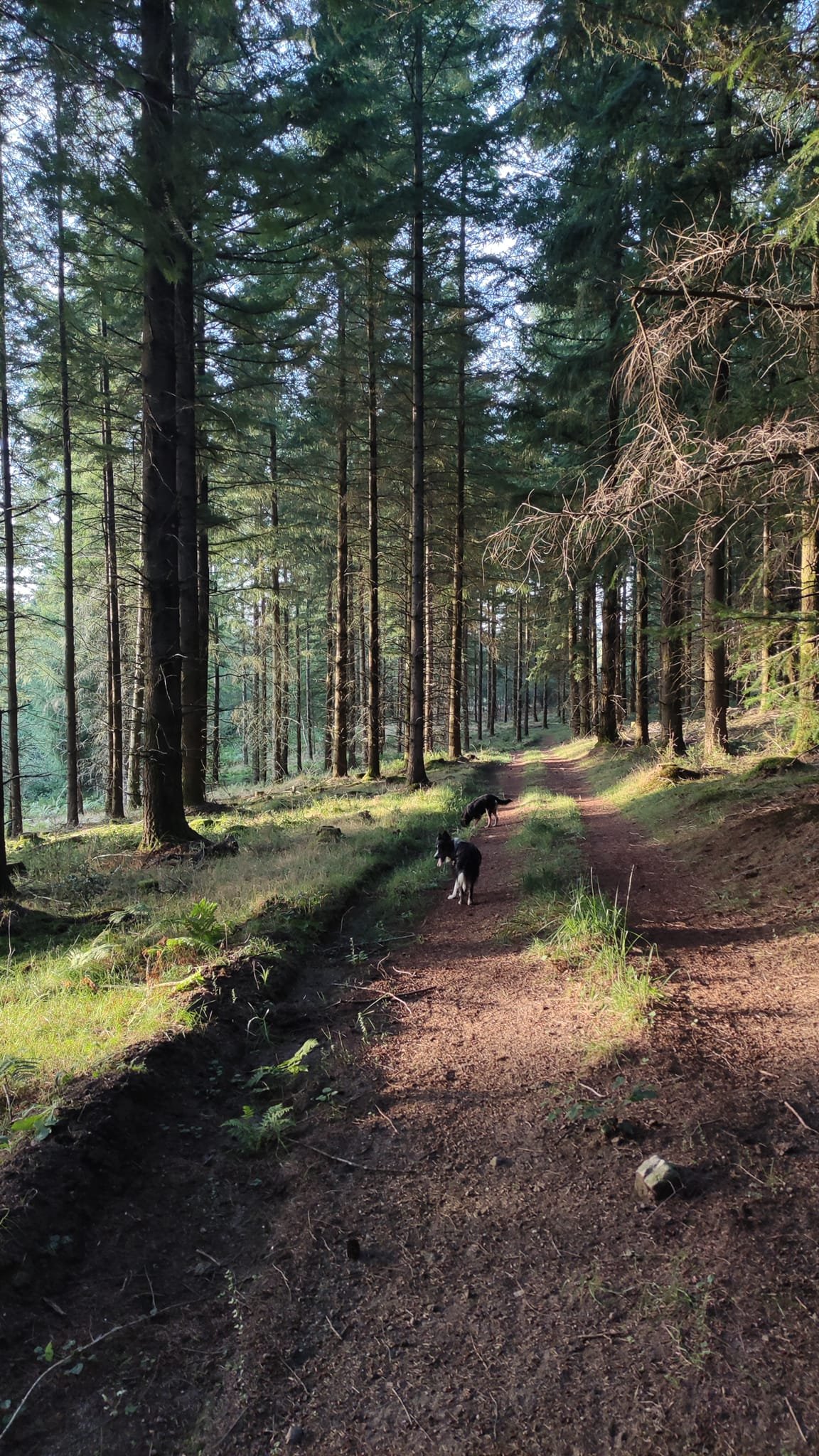 - Suite du voyage de Léonnie Biteau avec le rassemblement des meneurs de bovin 2023 (23)