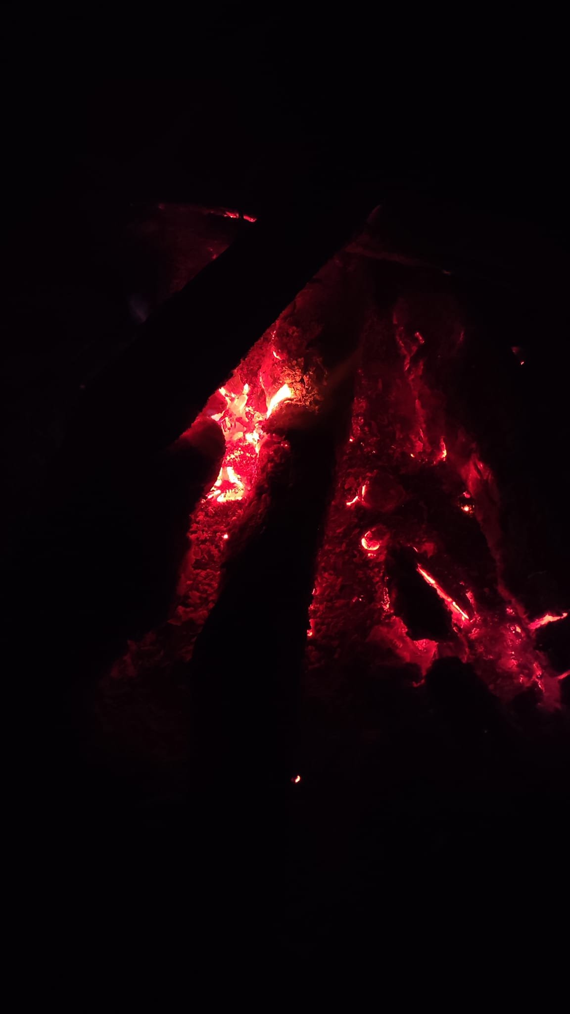 - Suite du voyage de Léonnie Biteau avec le rassemblement des meneurs de bovin 2023 (23)