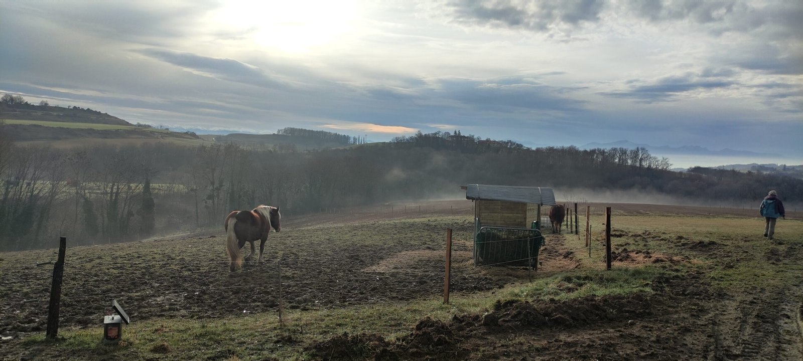 IMG 20260118 101822 scaled
