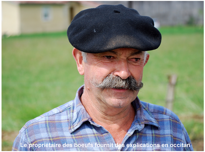 Proprietaire