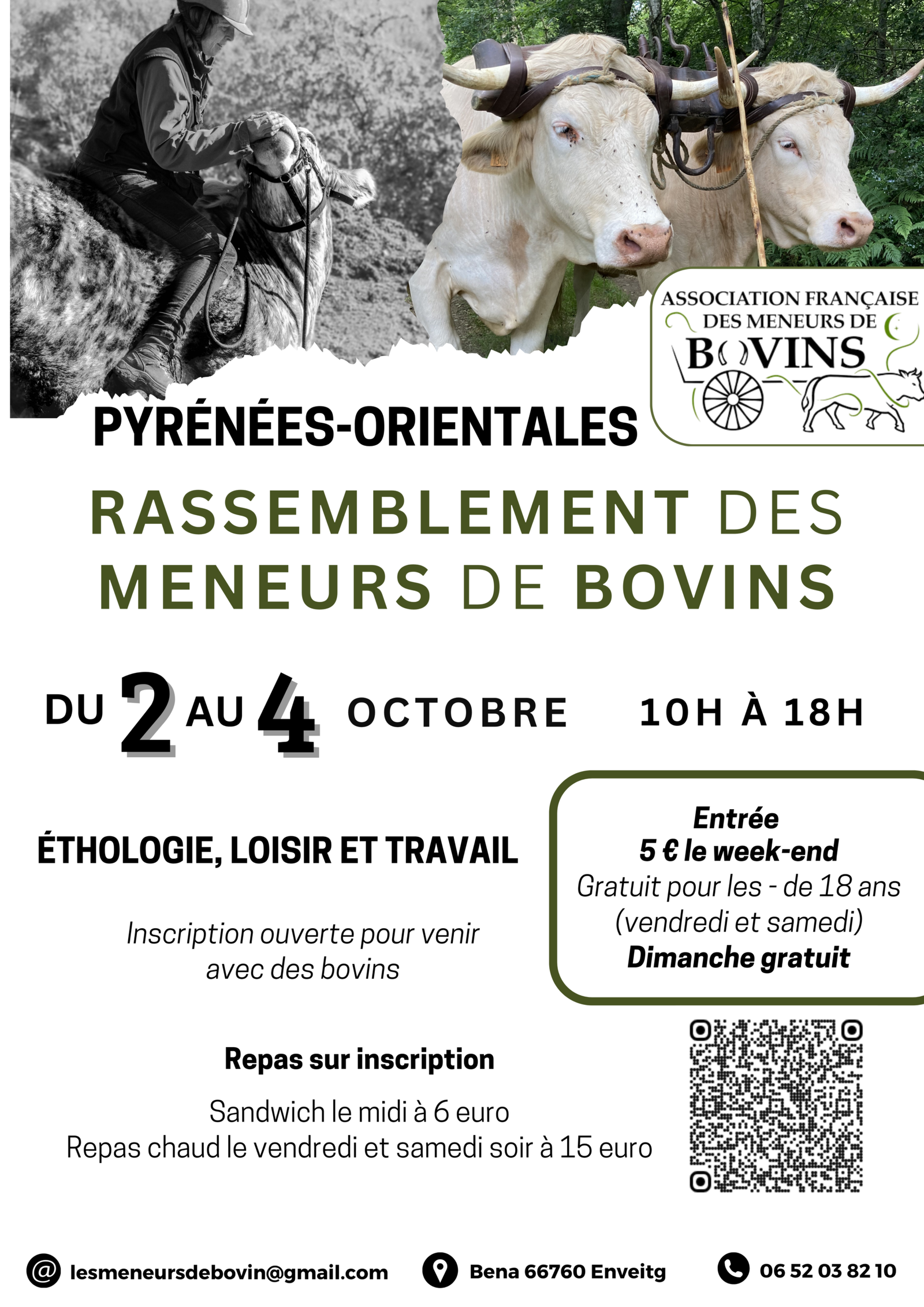Affiches des rassemblement 2026 V2 scaled