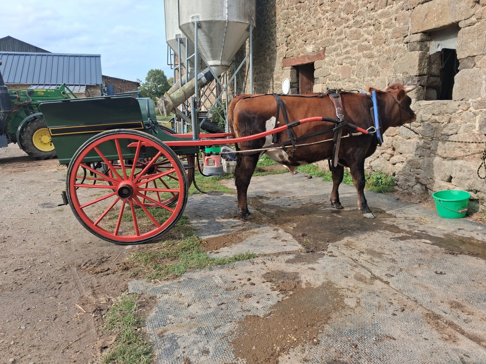 Vroom du petit veau au bouvier 1