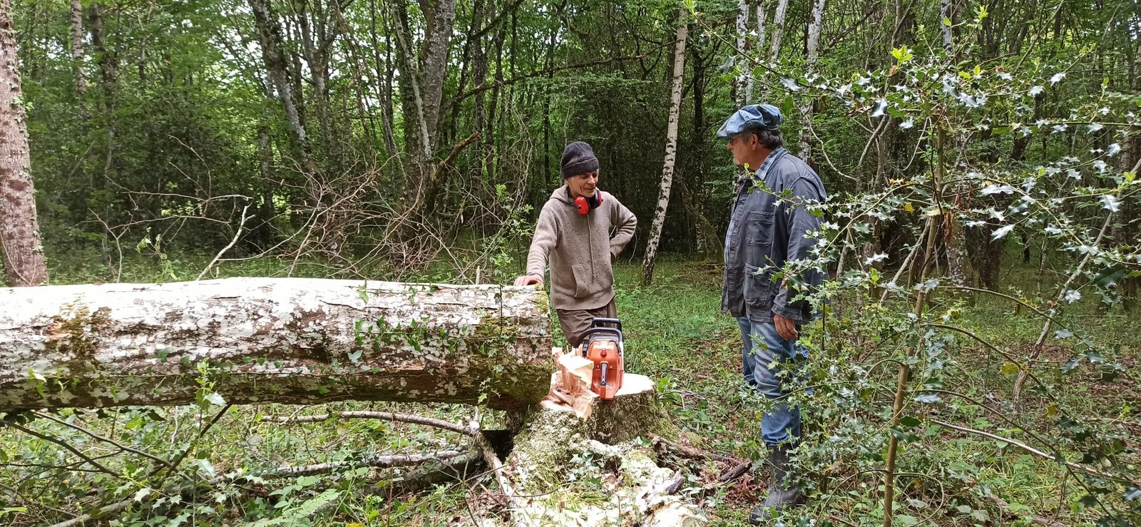 Formation à la taille de jougs d’attelage avec Michel Nioulou Les 11,12 et 13 Mai 2026 Chatelus-Malvaleix (23) 2 Ld75UEr0bbv9 IMG 20260510 160157 scaled